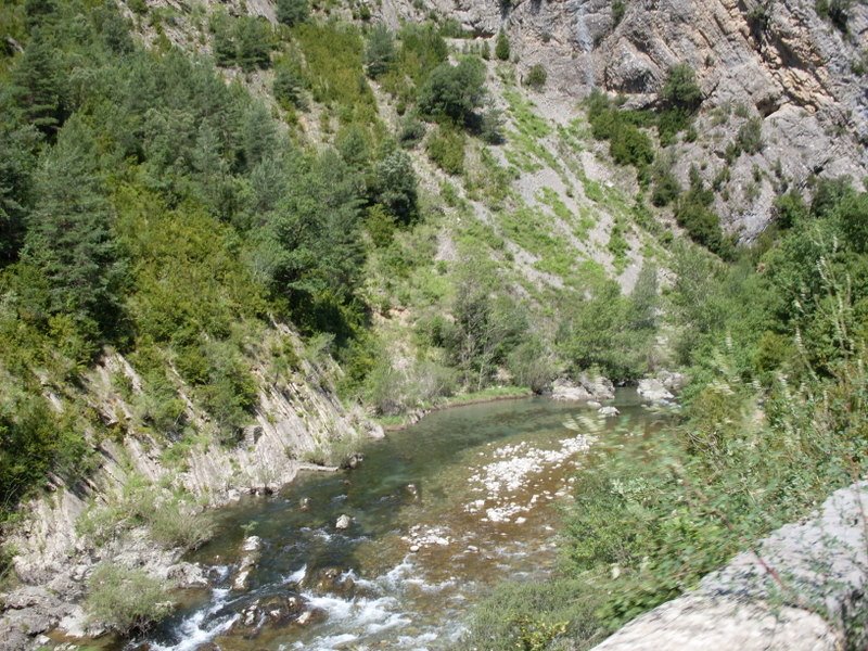 [SDC10765.JPG]