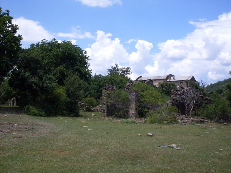 [SDC10859.JPG]