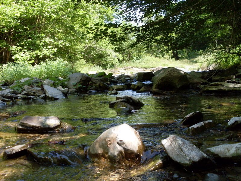 [SDC10978.jpg]
