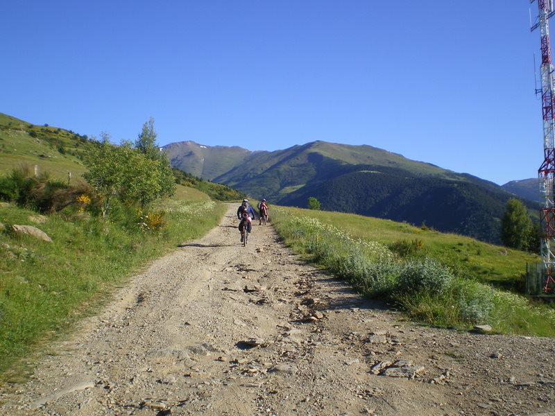 [IMGP0433.JPG]