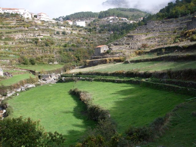 [SDC11751.JPG]