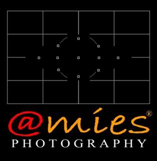 amies photography