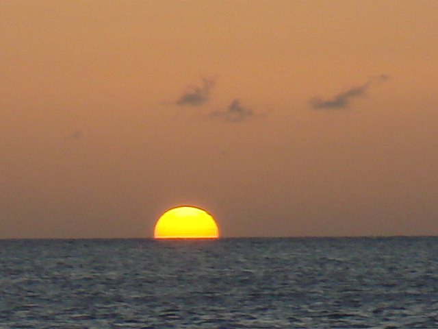 [DSC06160.JPG]