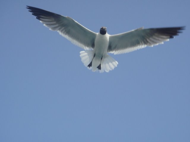 [DSC06525.JPG]