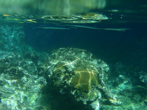 [IMG_2217.JPG]