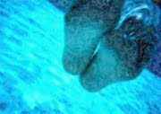 [Person's-feet-under-water_-pop-art-cutout-16_thumb.jpg]