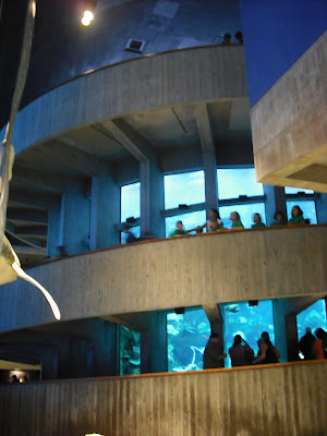 new england aquarium