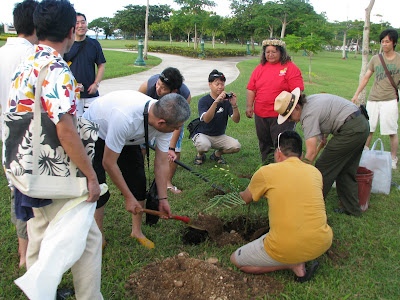 tree planting