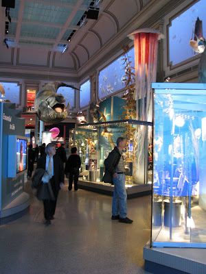 Sant Ocean Hall