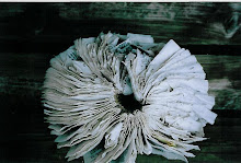 Lake Superior Detritus
