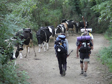 A shared road