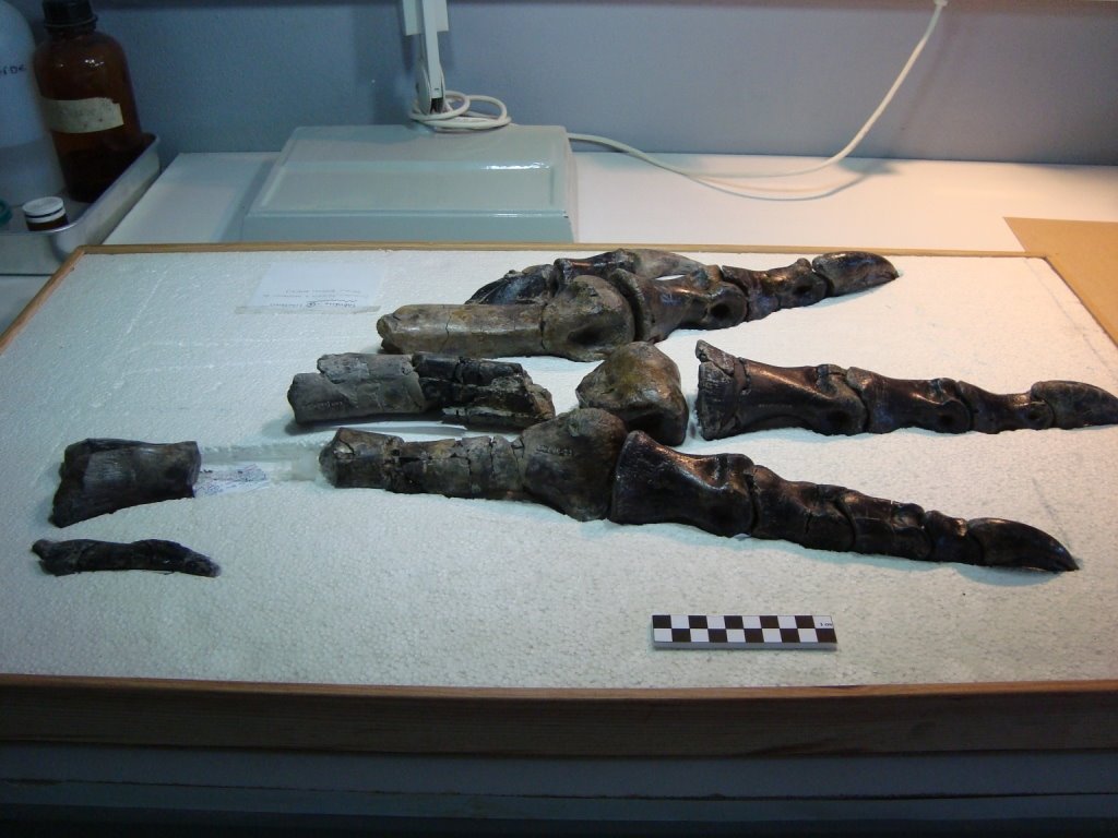[DSC00859.JPG]