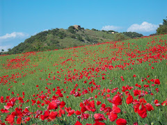 Sant Miquel de Tudela