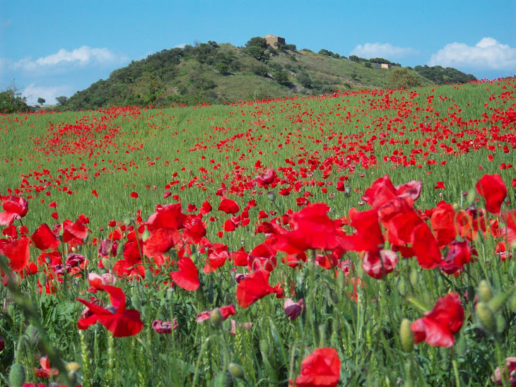 Tarroja from Segarra