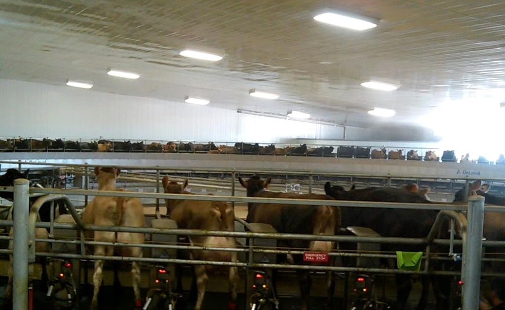 Texas Department of Agriculture Visit to the Faria East Dairy in the