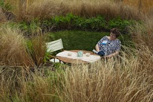 In Amongst the Grasses