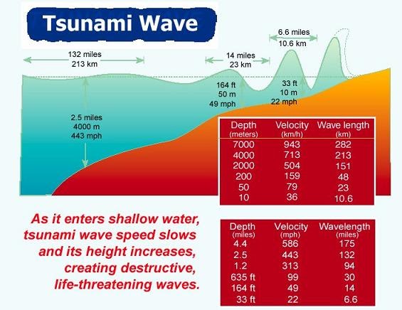 Where is the tsunami warning centre located in india