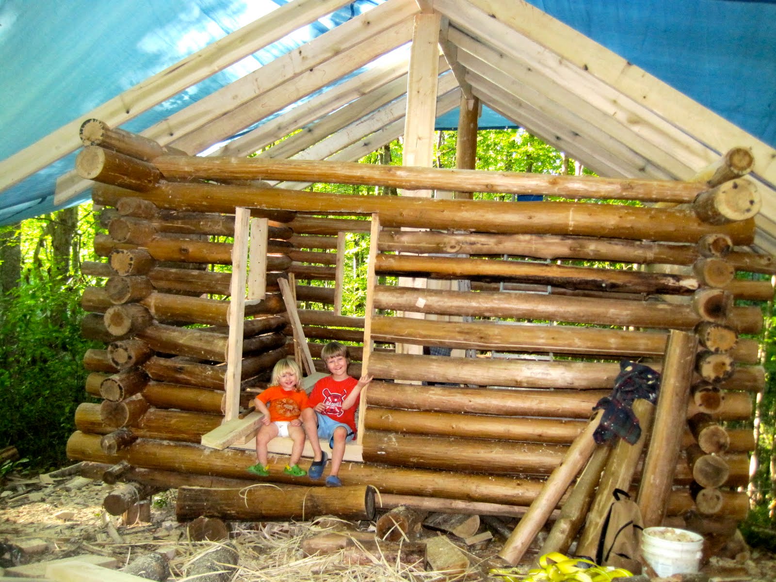 Cold Holler A Postmodern B Log Cabin In The Land Of The Noonday