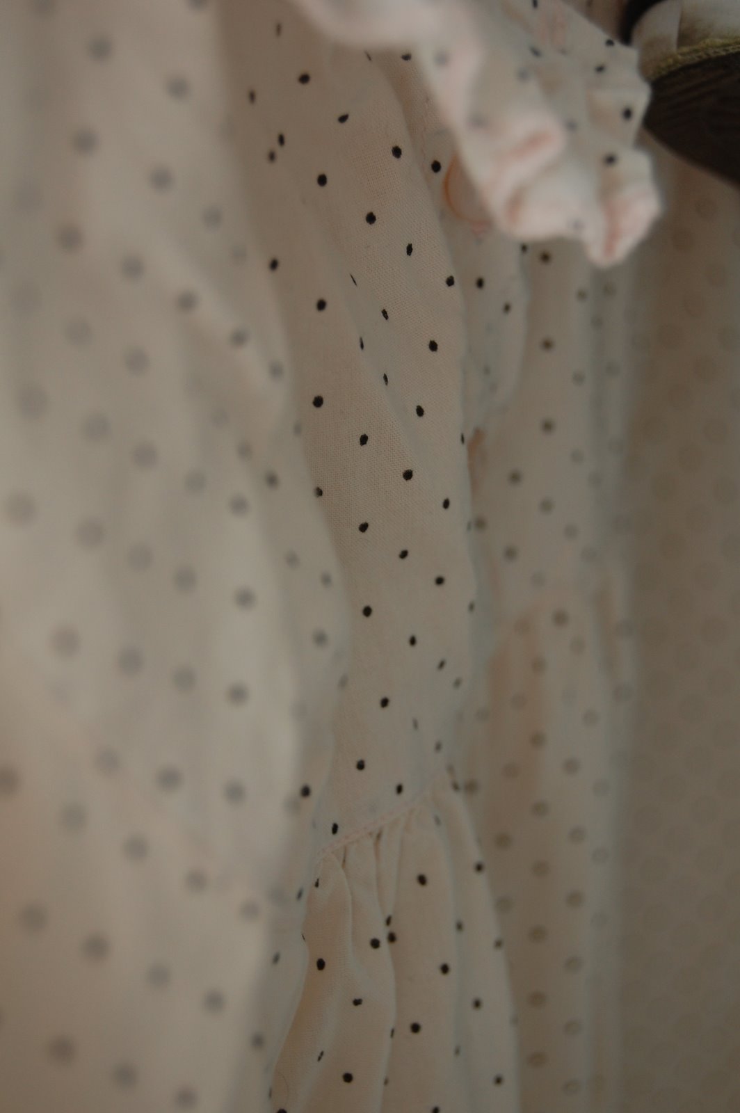 [DSC_0588.JPG]