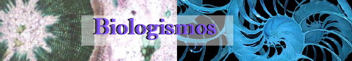 Biologismos