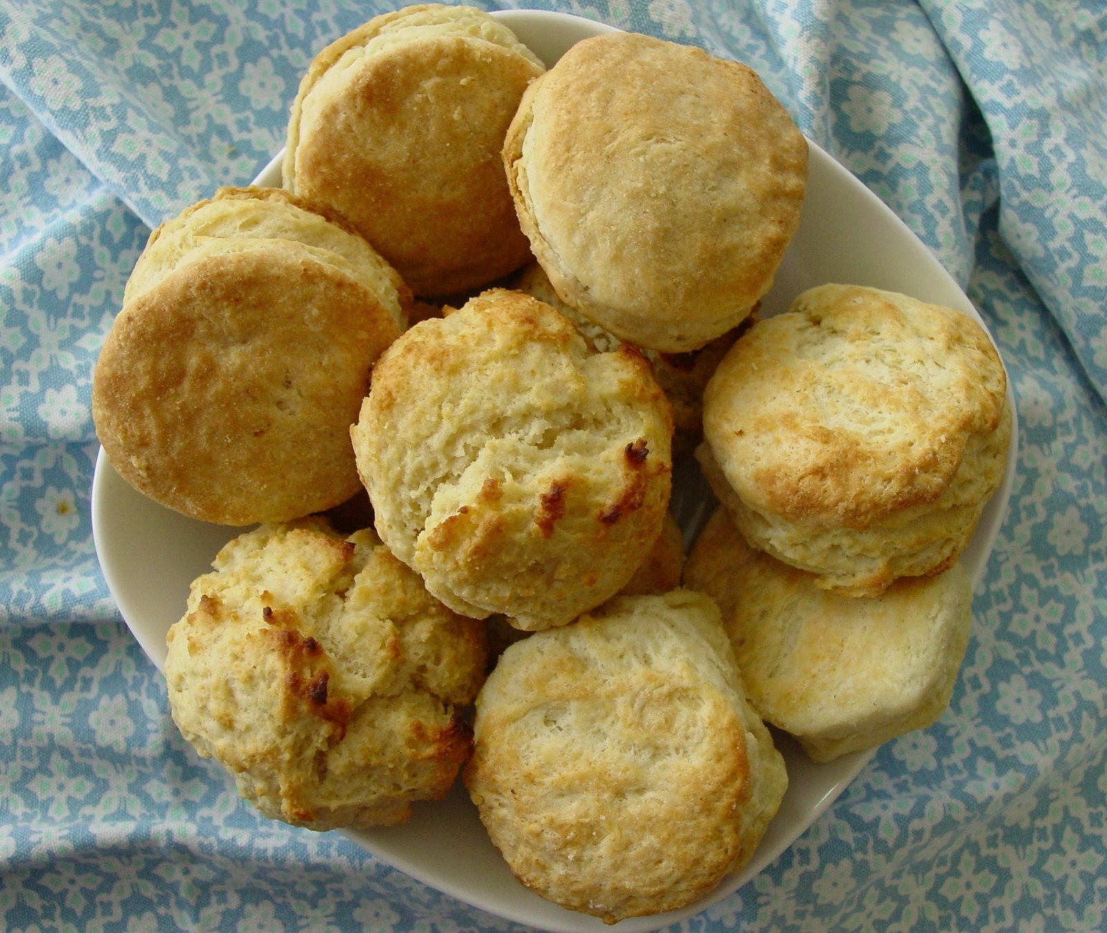 [Biscuits+3+066.JPG]