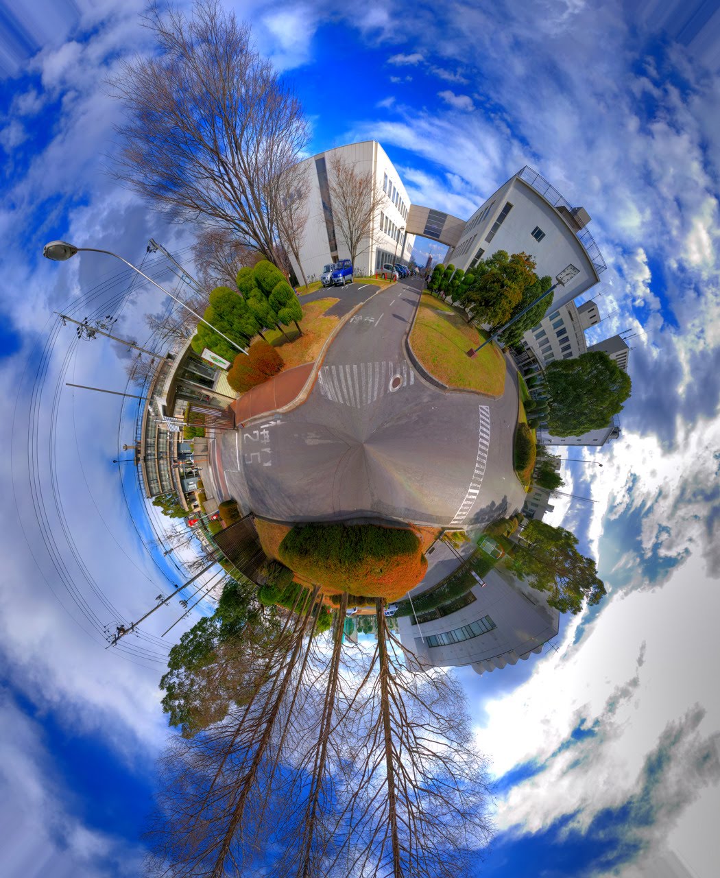 The UN biodiversity talks in