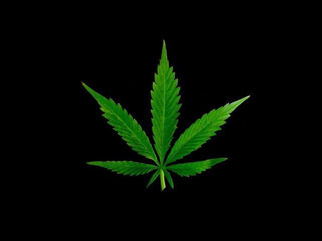 Weed Leaf Template