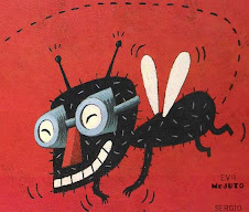 A Casa da Mosca Fosca