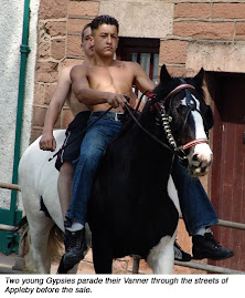 YOUNG GYPSY HORSE TRADERS