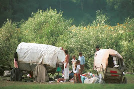 GYPSIES IN FLORIDA