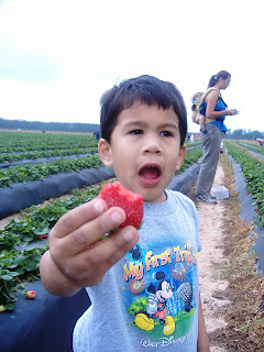 charlie eating strawberry