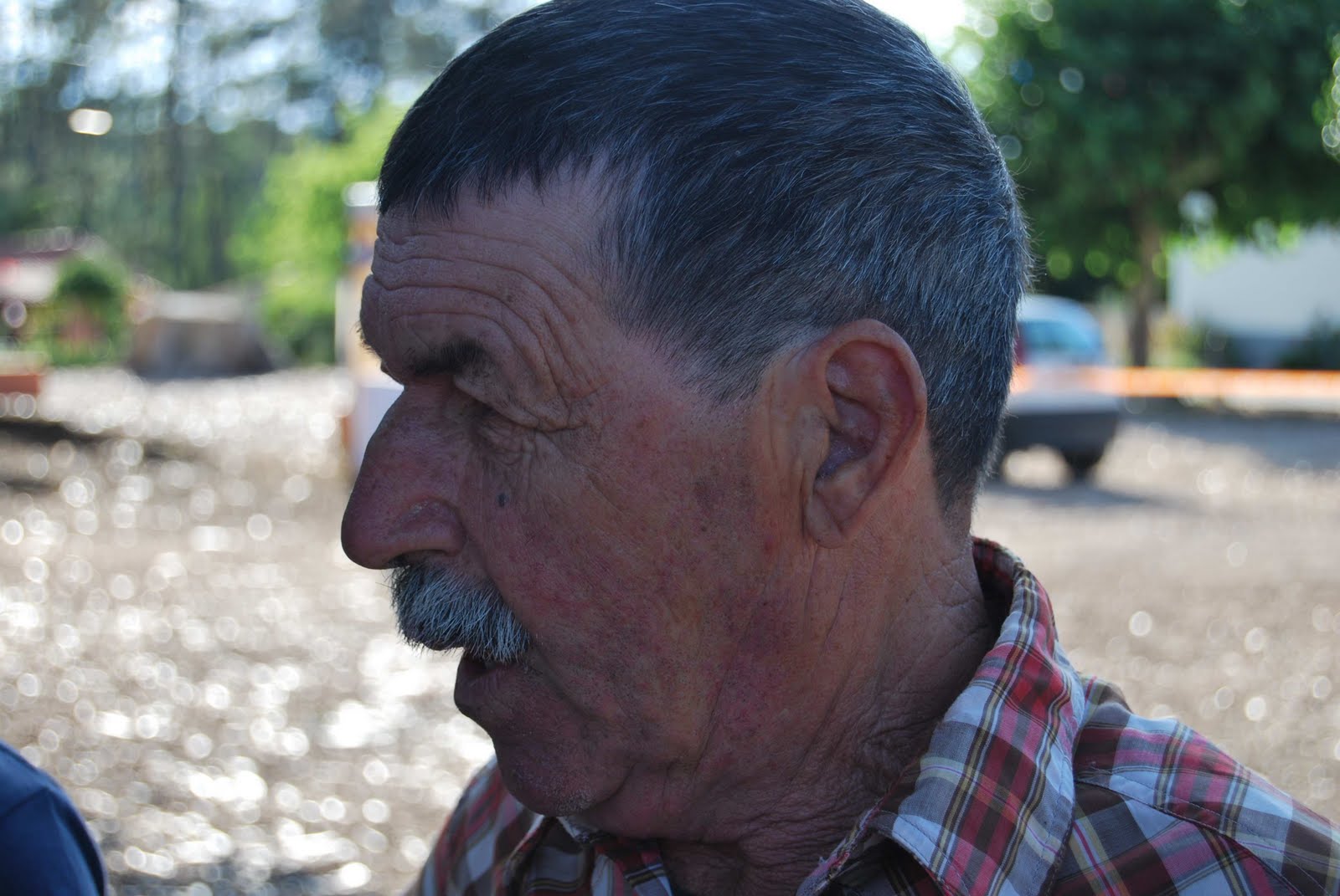 [DSC_0080.JPG]
