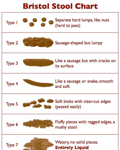 EC Wellness Blog Understand your Stool