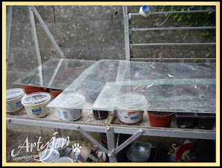 Seed pots