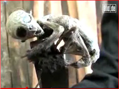 Dead Alien Baby