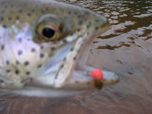 Rainbows like the pink egg!