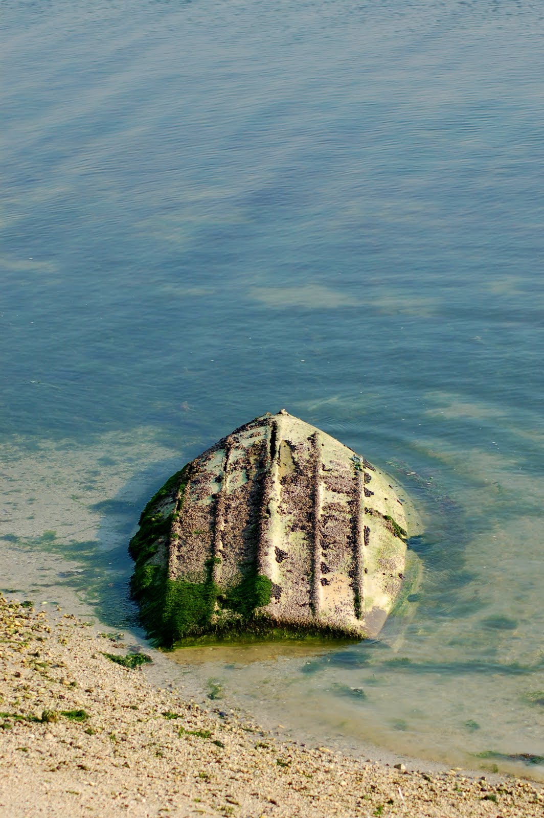 [DSC_0490.JPG]