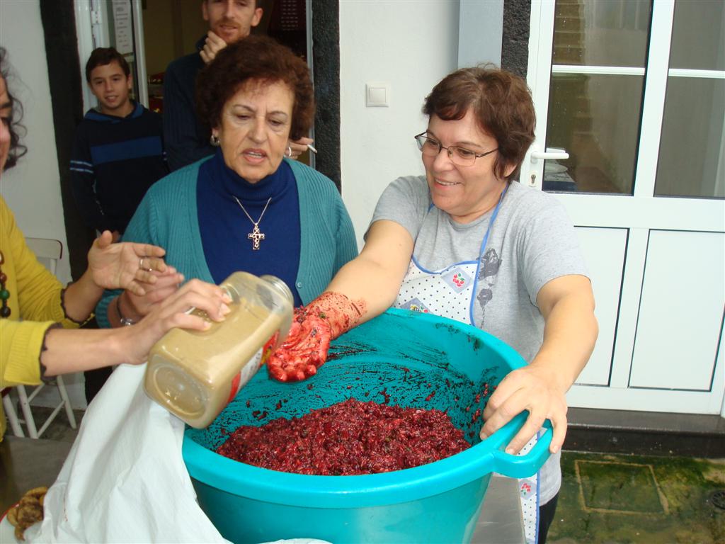 [DSC09077+(Large).JPG]