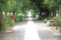Café Portugal - PASSEIO DE JORNALISTAS - Quinta da Pentieira
