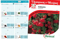 Free Wall Planner and Tomato Seeds