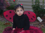 Our little Ladybug