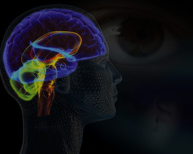 CONCEITO DE HOMEM NOVO