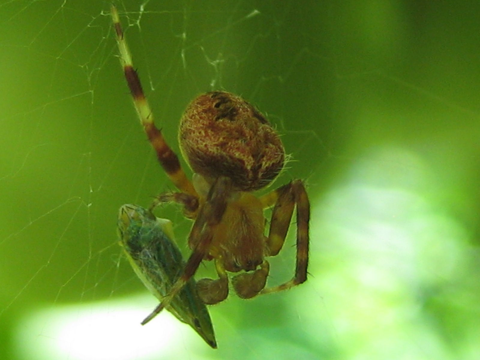 [IMG_5957.JPG]