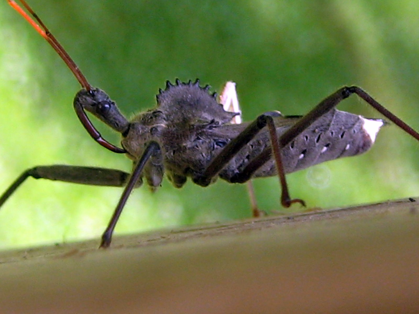 [IMG_7703.JPG]