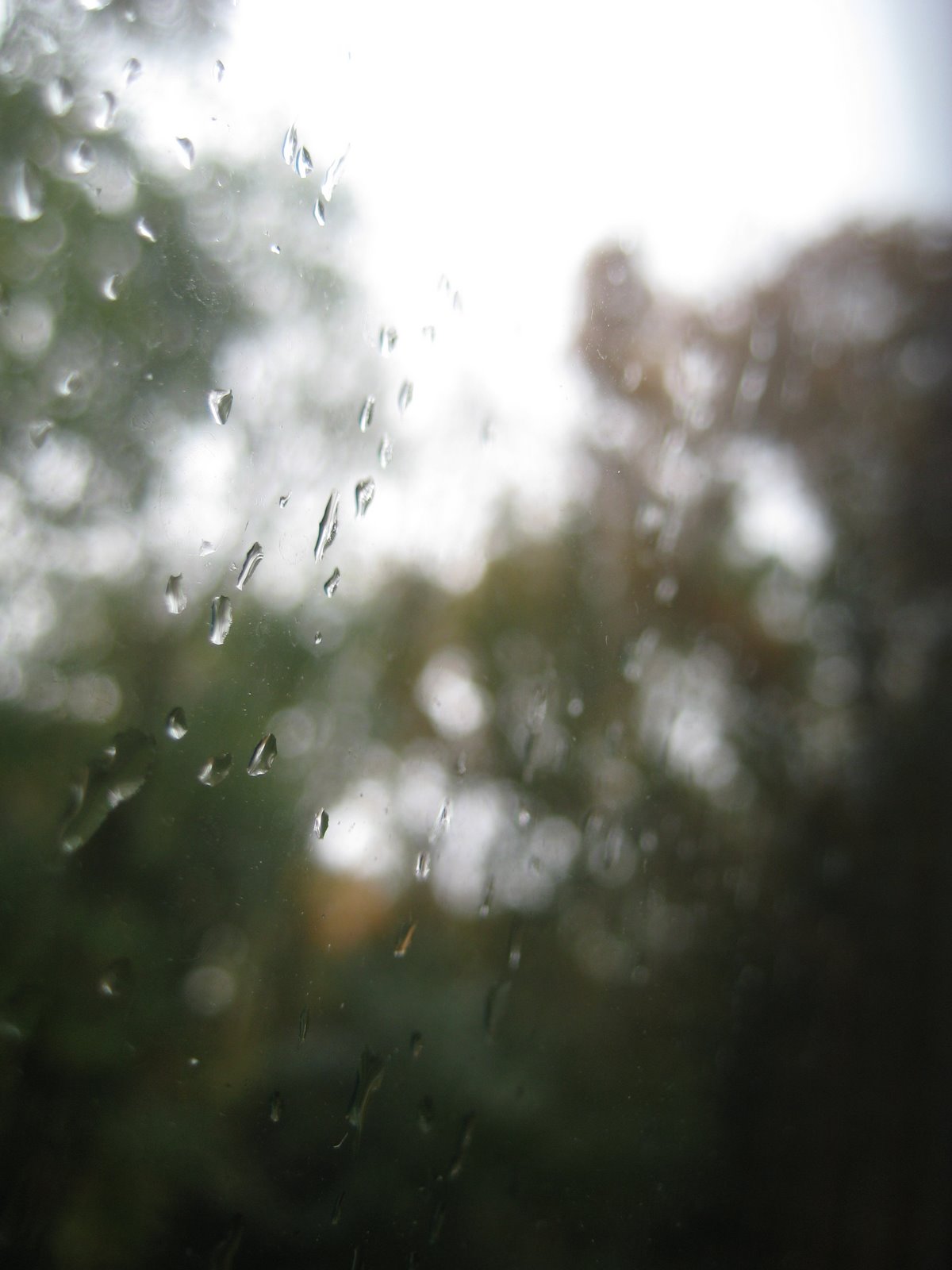 [IMG_8203.JPG]