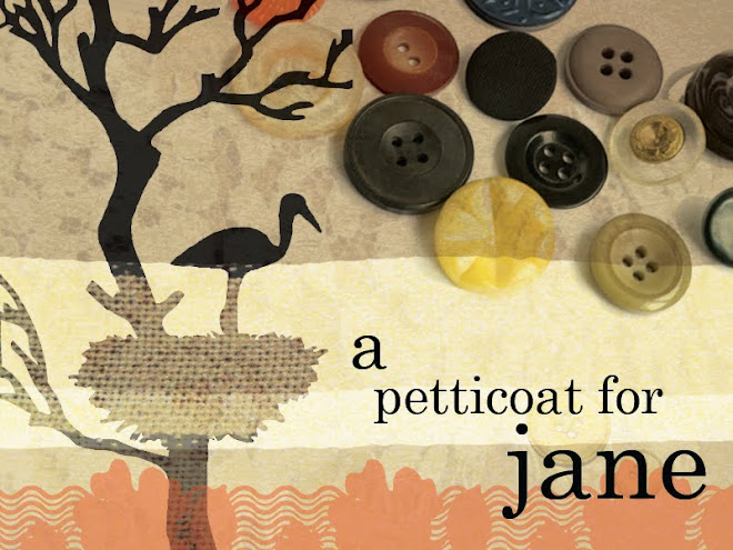 A Petticoat for Jane