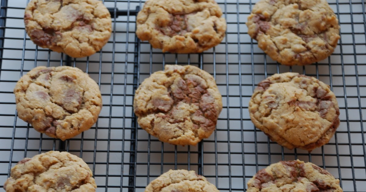Everyday Insanity... Food Processor Cookies