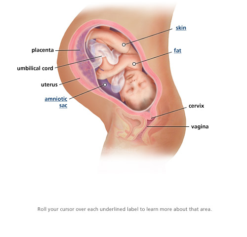 [39Weeks.jpg]