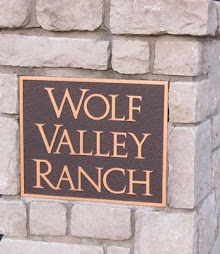 Wolf Valley