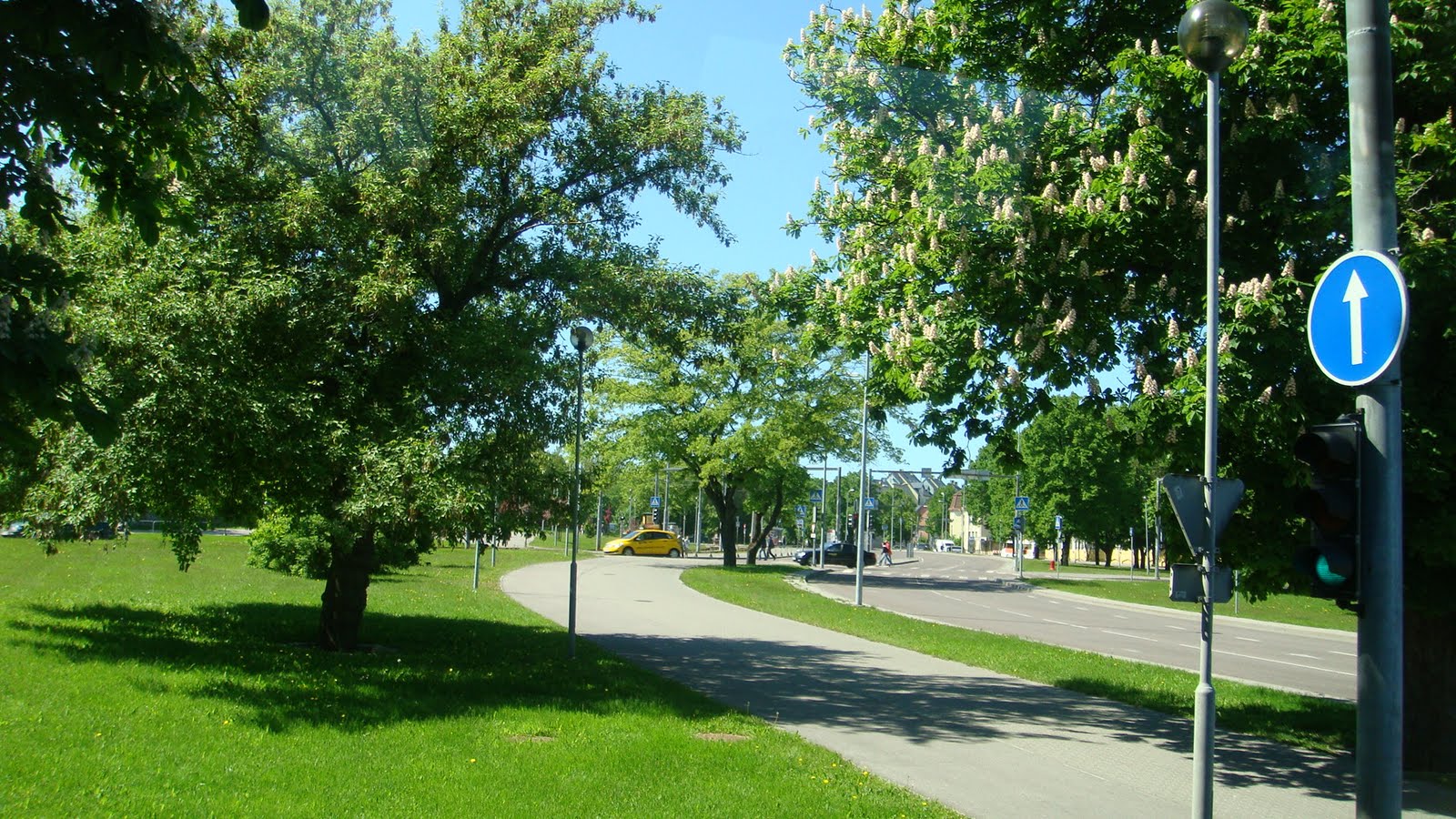 lavantalimon Ağustos 2010